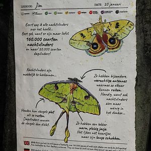 Jungola - Butterfly temple - Signage about moths, 2024-06-23