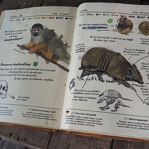 Jungola - Peruvian squirrel monkey and Southern three-banded armadillo signage, 2024-06-23