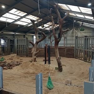 Centre for Elephant Care interior