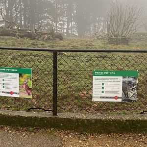 Philipine Spotted Deer signage, ZSL Whipsnade