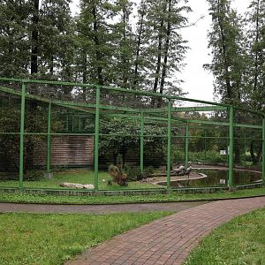 Zoo Lubin - Common Crane aviary