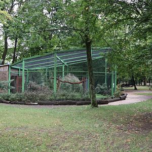 Zoo Lubin - Reeve's pheasant aviary