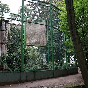 Zoo Lubin - Complex 35  (owls) - Ural owl aviary