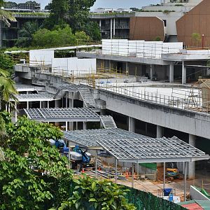 Campsite at Mandai Wildlife East