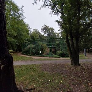 Zoo Lubin - Complex 34 (Lophura)