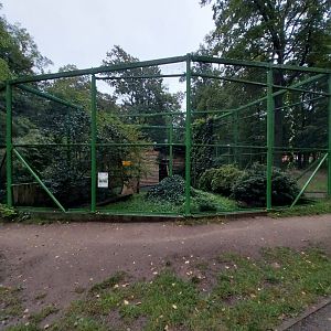 Zoo Lubin - Complex 34 (Lophura) - Bornean Crested fireback (?) aviary