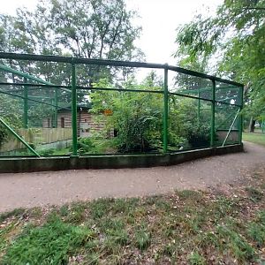 Zoo Lubin - Complex 34 (Lophura) - Jones' Silver pheasant aviary