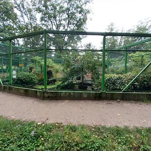 Zoo Lubin - Complex 34 (Lophura) - Swinhoe pheasant aviary