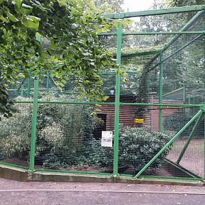 Zoo Lubin - Complex 32 (Lophura and Symaticus) - Siamese fireback aviary