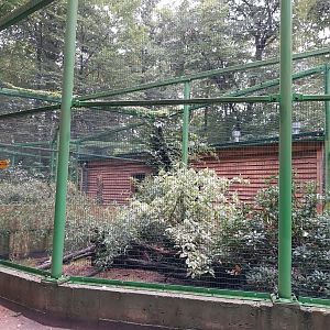 Zoo Lubin - Complex 32 (Lophura and Syrmaticus) - Mrs. Hume's pheasant aviary