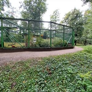 o Lubin - Complex 32 (Lophura and Syrmaticus) - Golden pheasant aviary