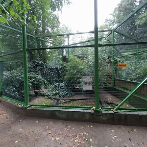 o Lubin - Complex 32 (Lophura and Syrmaticus) - Soemmerings Copper pheasant aviary