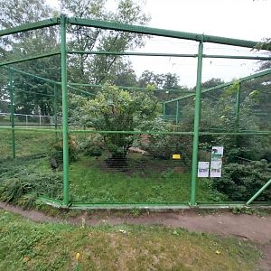 Zoo Lubin - Complex 31 - Cheer pheasant aviary