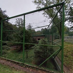 Zoo Lubin - Complex 31 - Himalayan monal and Little owl aviary