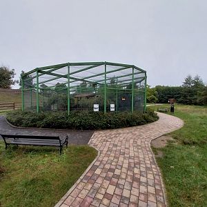 Zoo Lubin - Complex 15 (European and Eurasian birds)