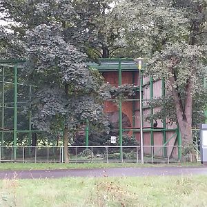 Zoo Lubin - Complex 14 (Eagles) - Golden eagle aviary