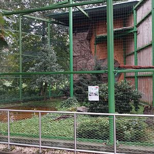 Zoo Lubin - Complex 14 (Eagles) - European golden eagle avairy