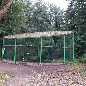 Zoo Lubin - Complex 13 (Storks)