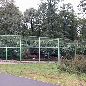 Zoo Lubin - Complex 7 - White-naped crane aviary