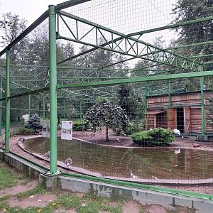 Zoo Lubin - Complex 6 - Manchurian crane aviary