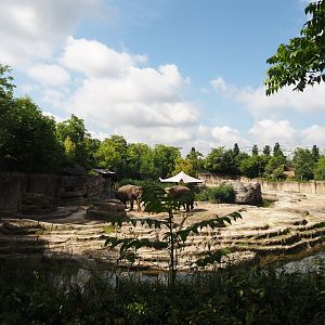 Jungola - Asian elephant exhibit, 2024-06-23