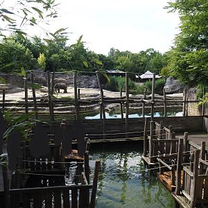 Jungola - Adventure area next to the Asian elephant exhibit, 2024-06-23