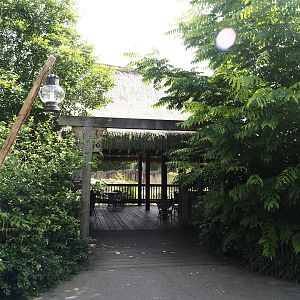 Jungola - Eating and sitting area next to the Asian elephant exhibit, 2024-06-23