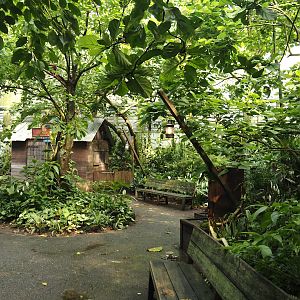 Jungola - View in Birdy Bush in Rimbula greenhouse, 2024-06-23