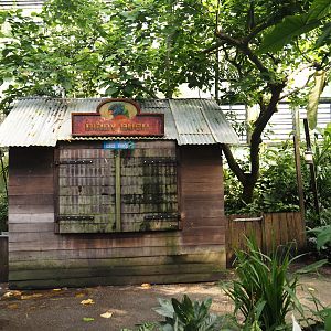 Bird feed shop cabin in Birdy Bush, 2024-06-23