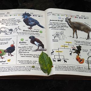 Birdy Bush signage, 2024-06-23