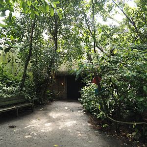 Jungola - View in Birdy Bush in Rimbula greenhouse, 2024-06-23