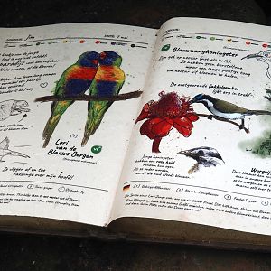 Birdy Bush - Rainbow lorikeet and Blue-faced honeyeater signage, 2024-06-23