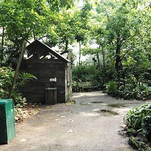 Jungola - View in Birdy Bush in Rimbula greenhouse, 2024-06-23