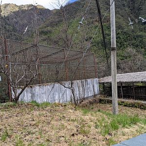 Cages, Yaojiaping Rescue Centre