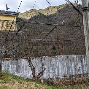 Myanmar Snub-nosed Monkey cage