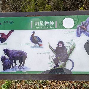 Signage at Yaojiaping Rescue Centre