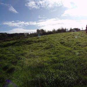 Rhea paddock 14.10.23