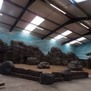 Bird show arena 14.10.23