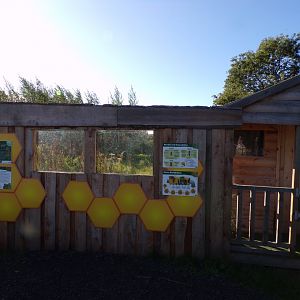 Honeybee section 14.10.23