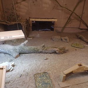 Sulcata and leopard tortoise enclosure 14.10.23