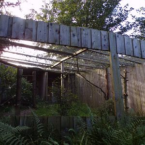 Snowy owl aviary 14.10.23