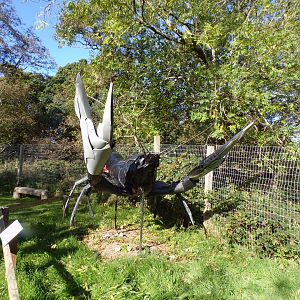 Lobster statue 14.10.23