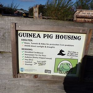 Guniea pig signage 14.10.23