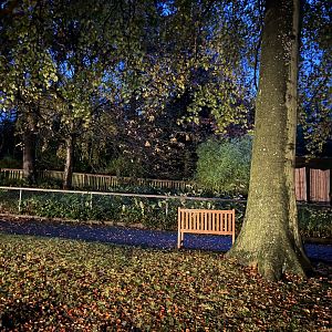 View in the zoo in late afternoon 29.10.23