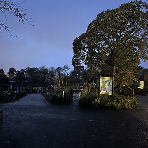 View in zoo in late afternoon 29.10.23