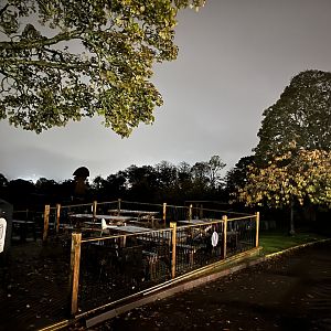 View in zoo in the evening 29.10.23