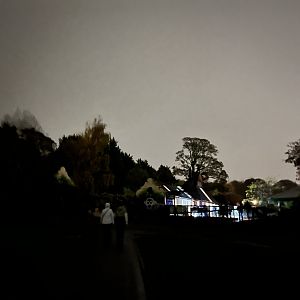 View in zoo in the evening 29.10.23