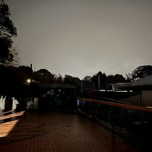 View in zoo in the evening 29.10.23