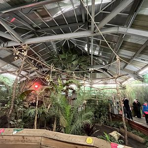 Two toed sloth enclosure in early evening 29.10.23