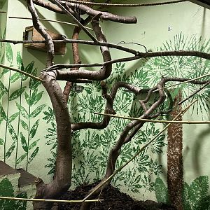 One of the monkey indoor enclosures in magic forest 29.10.23